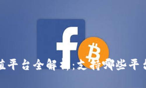 808钱包充值平台全解析：支持哪些平台及其优缺点