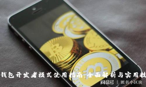 TP钱包开发者模式使用指南：全面解析与实用技巧