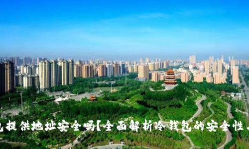 冷钱包提供地址安全吗？全面解析冷钱包的安全性与风险