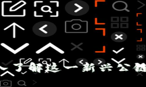 冷钱包F1：深入了解这一新兴公链的技术与应用