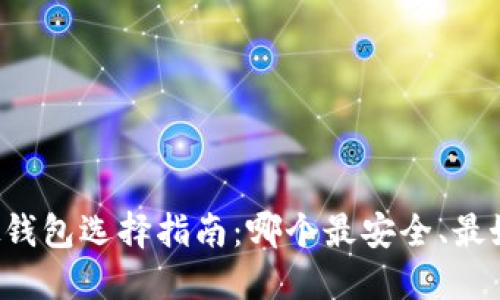 虚拟钱包选择指南：哪个最安全、最好用？