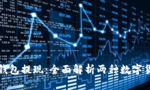 冷钱包与热钱包提现:全面解析两种数字货币存储方式
