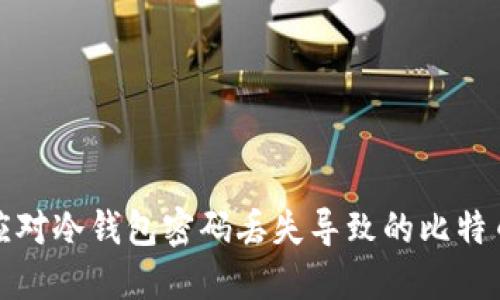 如何应对冷钱包密码丢失导致的比特币损失