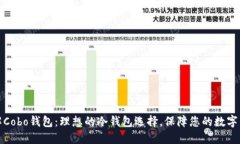 深入了解Cobo钱包：理想的冷钱包选择，保障您的