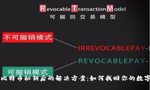丢失比特币秘钥后的解决方案：如何找回你的数字资产