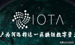 TP钱包：用户为何选择这一区块链数字资产管理工