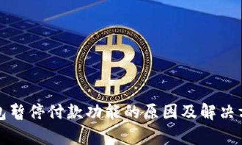 数字钱包暂停付款功能的原因及解决方案解析