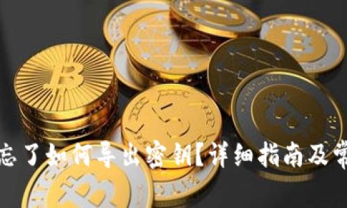 TP钱包密码忘了如何导出密钥？详细指南及常见问题解答