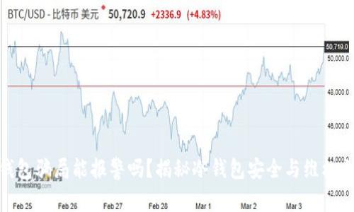 冷钱包骗局能报警吗？揭秘冷钱包安全与维权之道