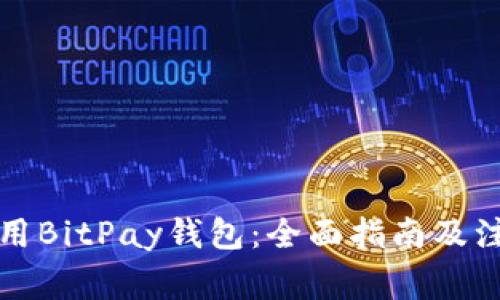 如何使用BitPay钱包：全面指南及注意事项