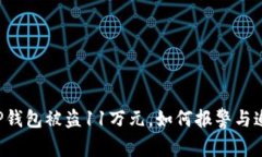 ### TP钱包被盗11万元，如何报警与追讨损失？