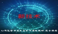 tp钱包密钥丢失后如何有效找回：完全指南