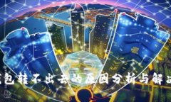  TP钱包转不出去的原因分析与解决方案